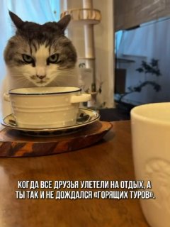 Выгорание обойдется дороже отпуска! Забирайте главные тревел- новости недели, пока цены не улетели в космос.